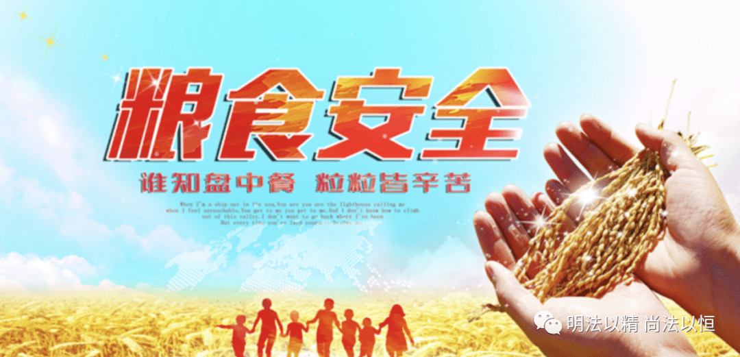 为国家粮食安全提供坚实法治保障粮食安全是社会稳定和经济发展的基础