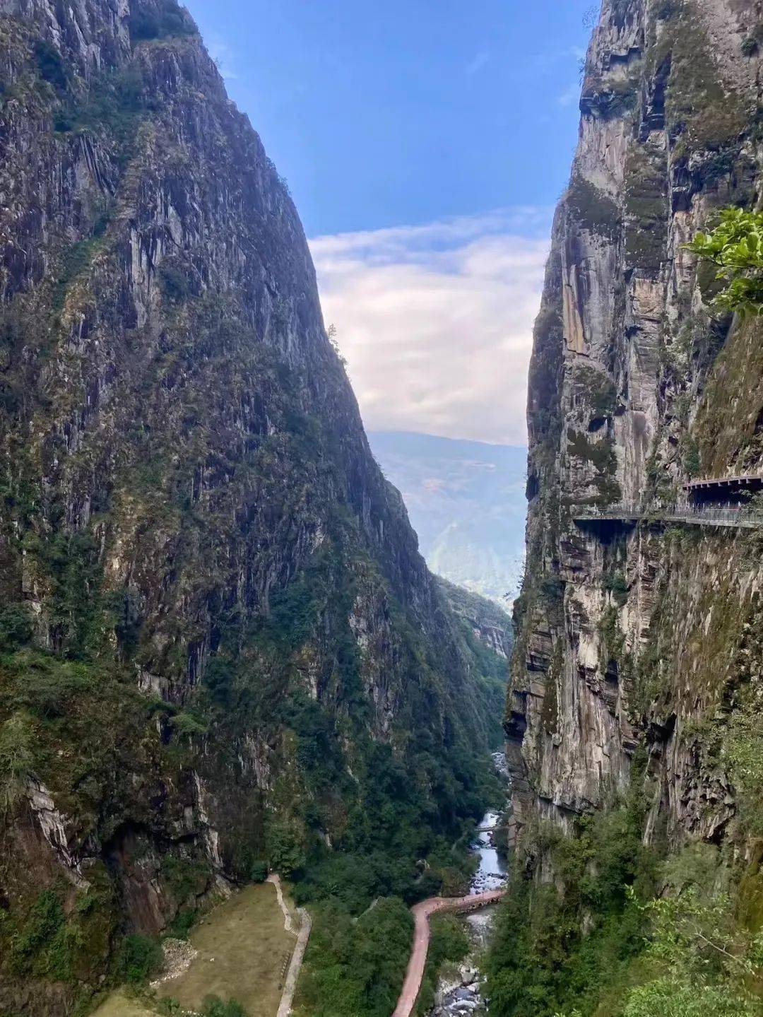 蒼山_核桃樹_步道