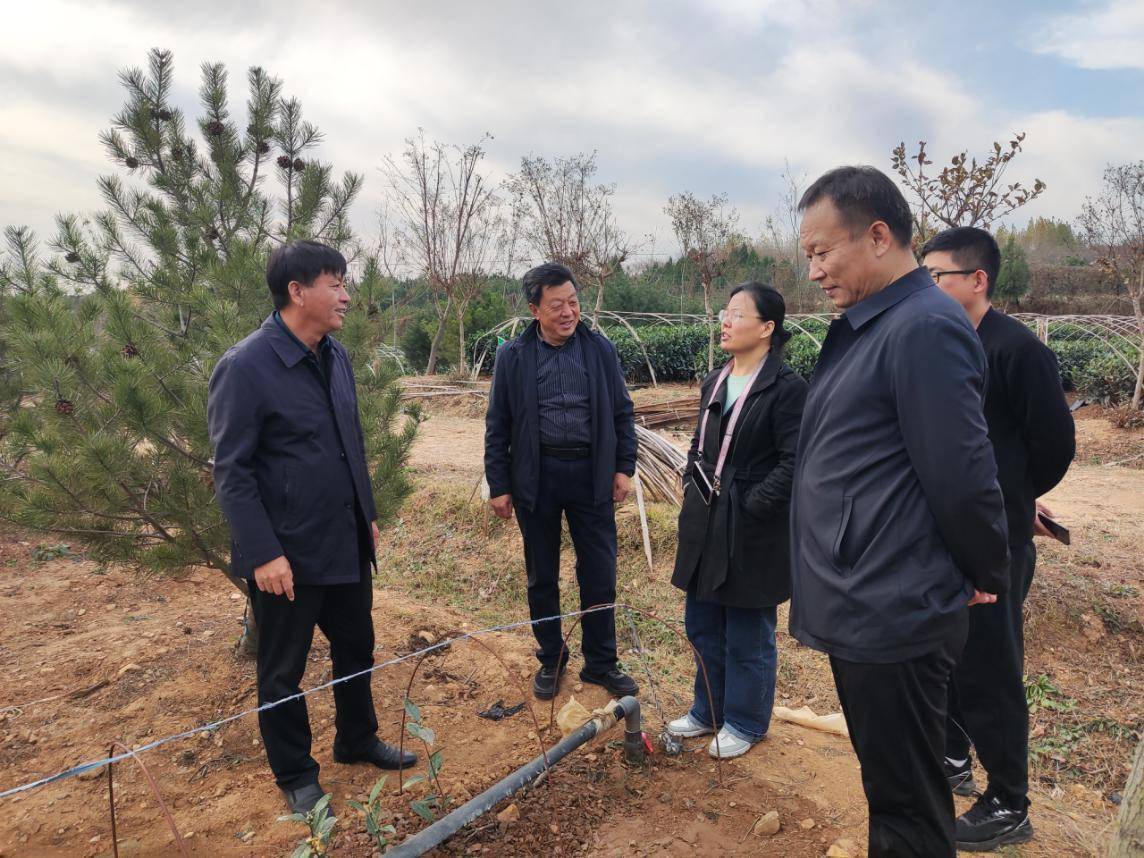 服务团将进一步加强与郑新强团队的技术交流与合作,选育推广适合日照