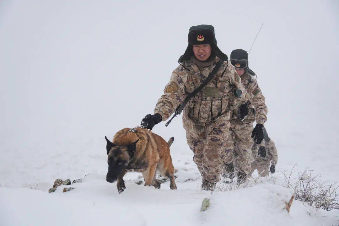 致敬 风雪中的中国军人