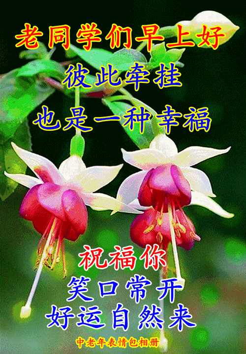 看淡一切身外物,唯有健康最值钱,但愿我们多保重,开心快乐每一天!