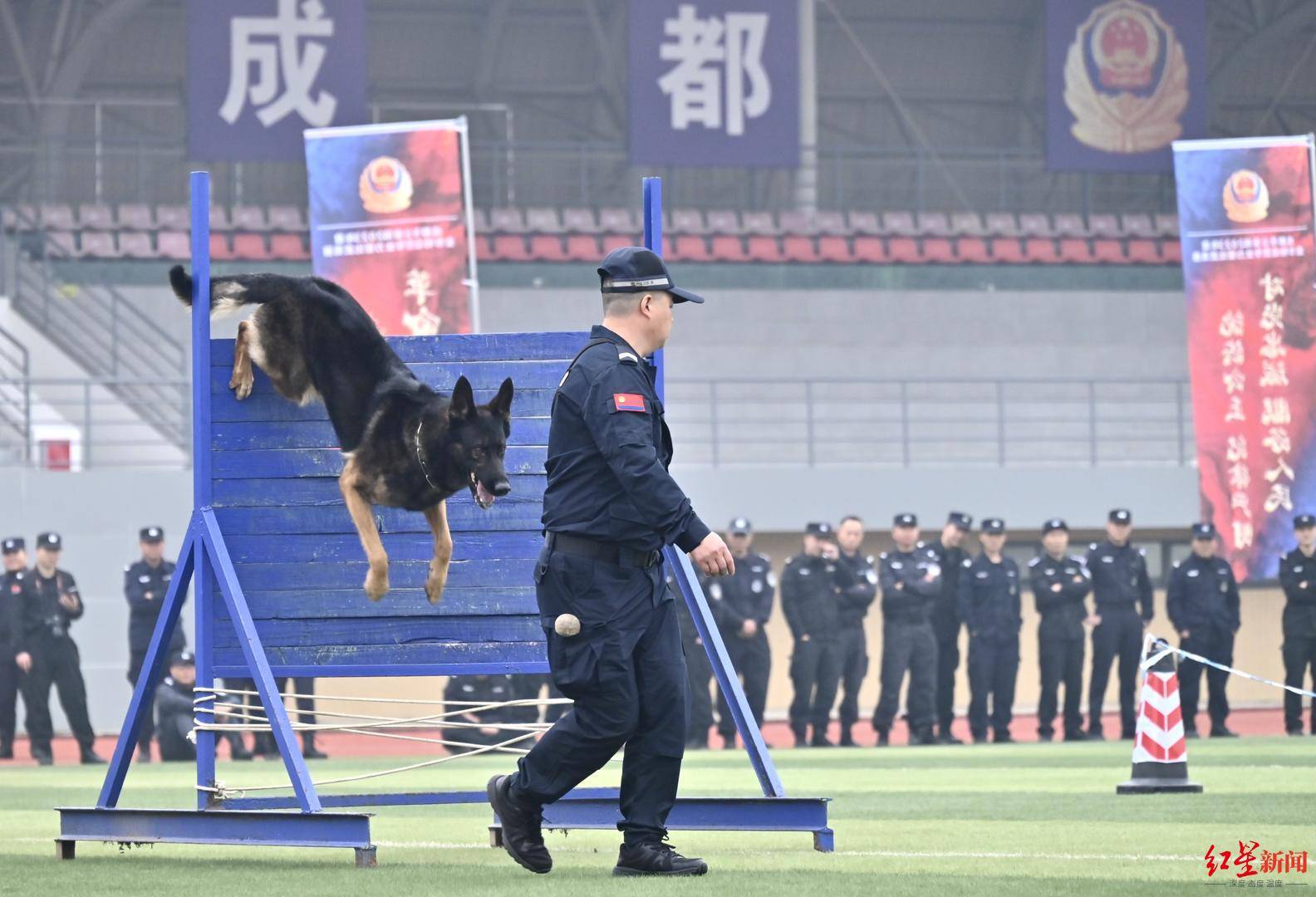 成都399名特巡警大比武_射击_手枪_警犬
