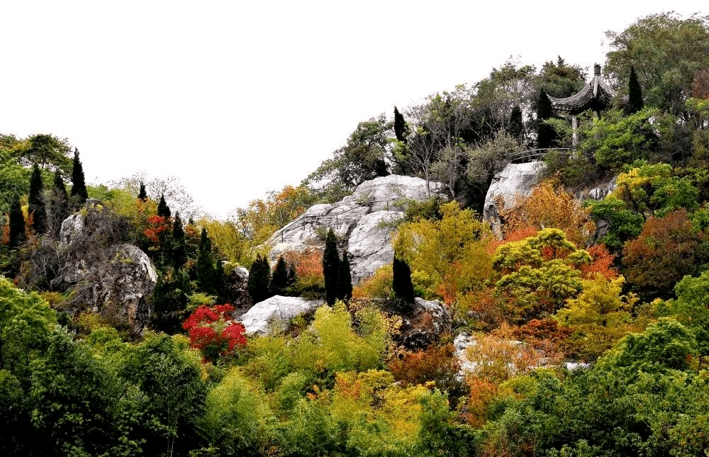 第五站紫金庵位于碧螺村西坞始建于唐代,重修于清代虽主建筑只有一殿