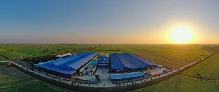 怀远县万福镇:肉牛养殖 农民有奔头