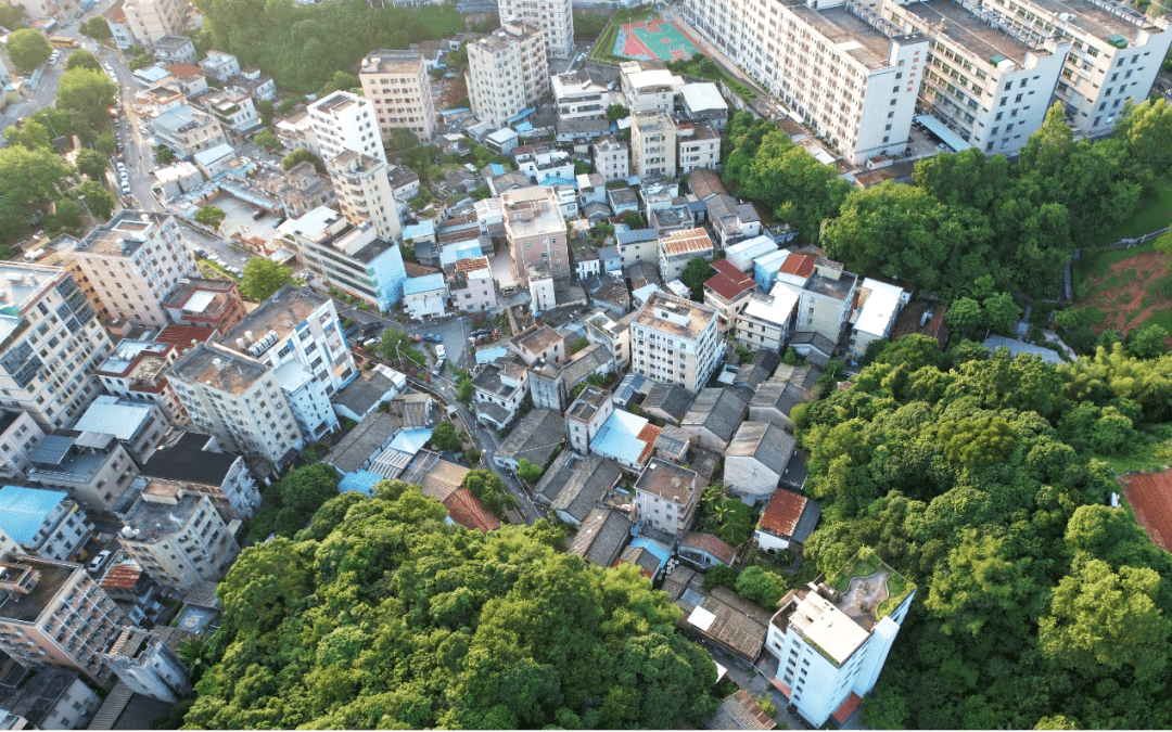 观澜丹坑村图片