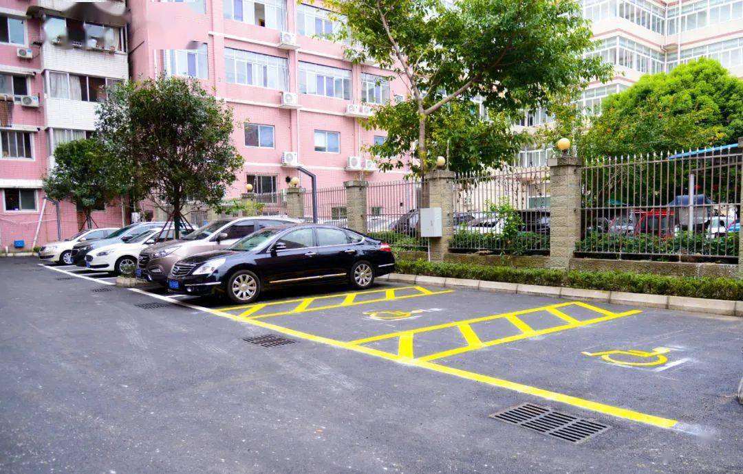 11月16日,改造后面貌焕然一新的赵镇街道金穗花园小区花坛内绿意盎然