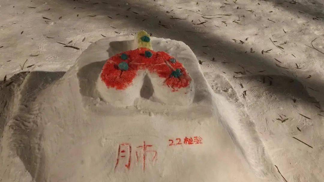 小学生雪雕图片