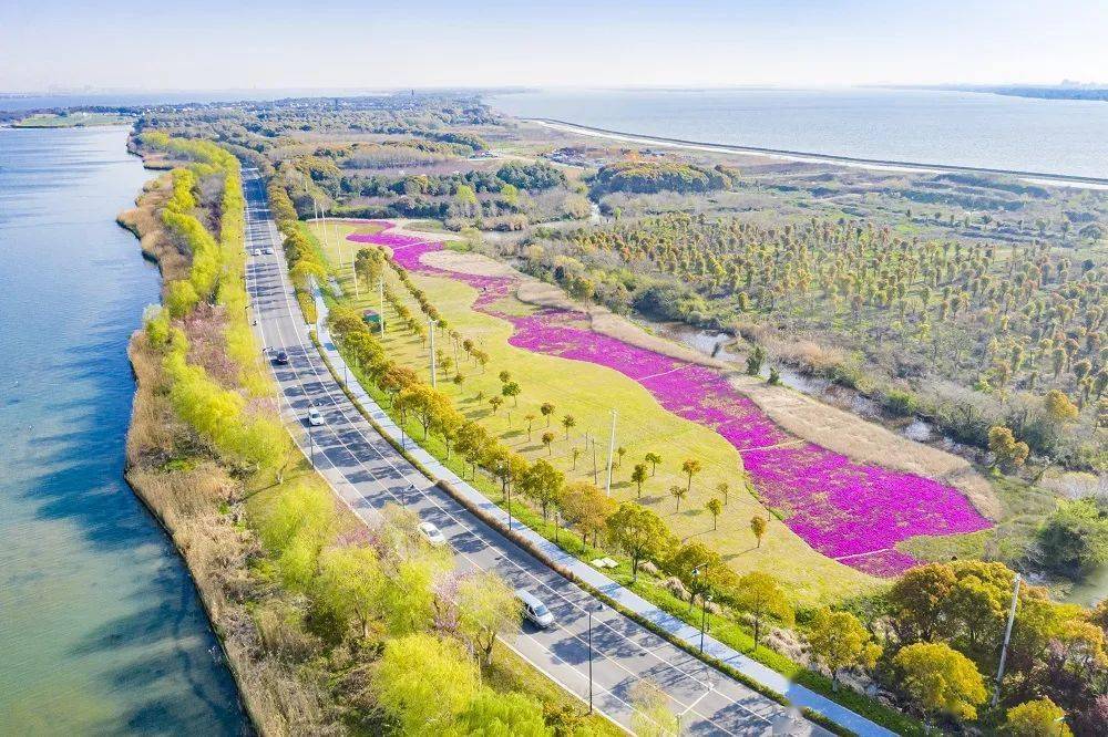 阳澄湖镇!沈周故里,中国蟹乡!_江苏省_文化_苏州