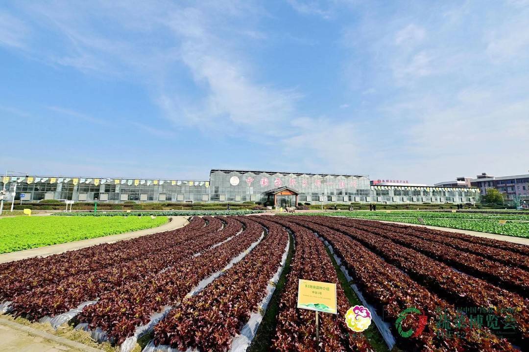 第十二届四川(彭州)蔬菜博览会开幕 中国·蒙阳蔬菜价格指数发布_发展