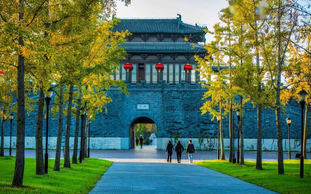 "落叶不扫"更诗意,宋夹城色彩斑斓等你来