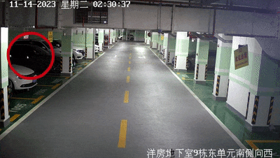 "开盲盒"式拉车门盗窃,两男子盗走财物后竟将宝马车开出去兜风_监控