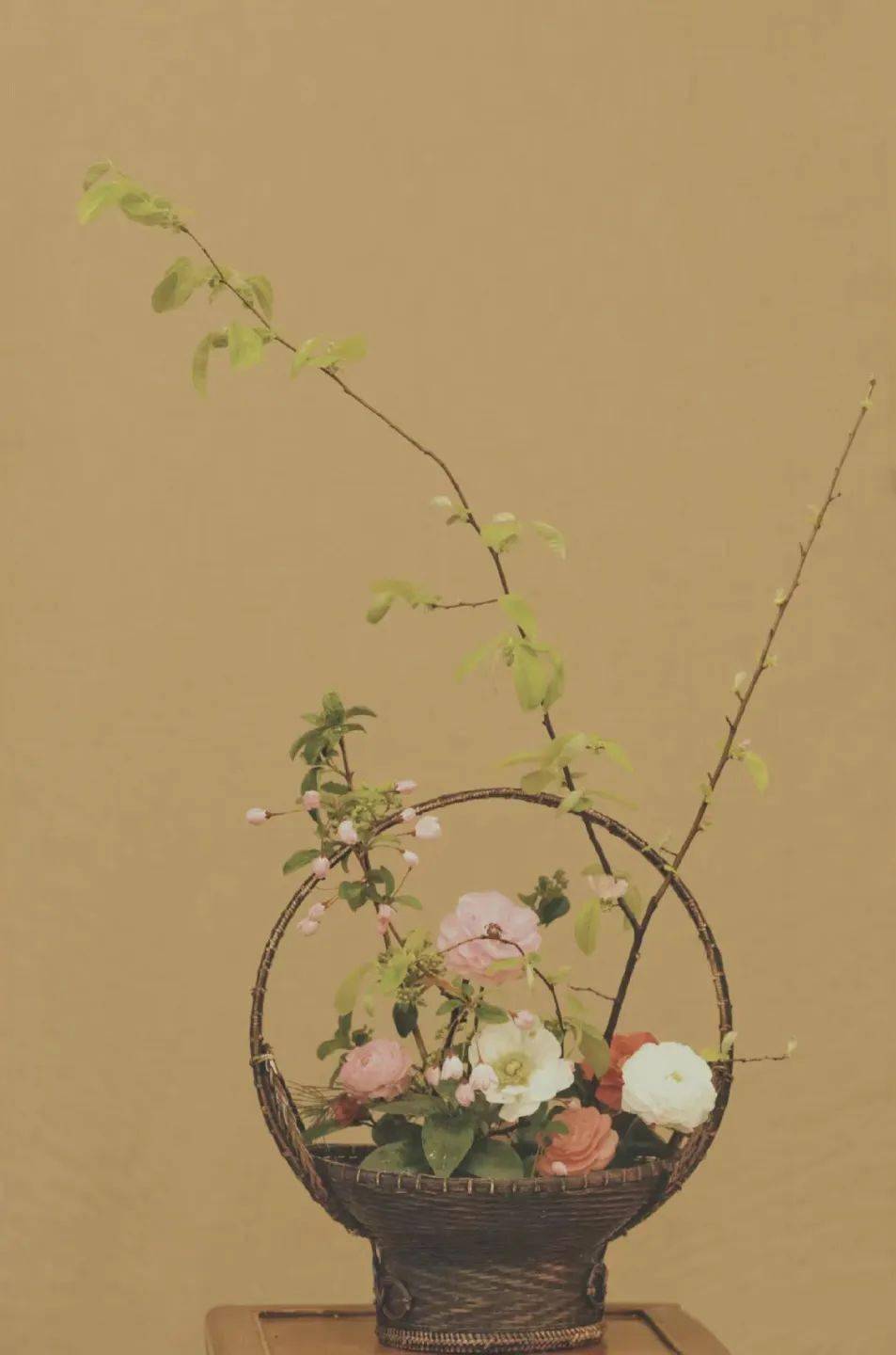 清源雅集|邀您共习花道,沉浸式体验宋代生活_插花_西园_苏轼