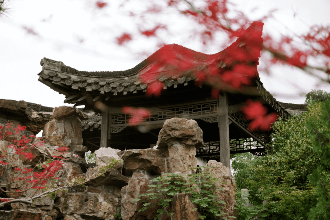 个园丨幽园初冬_秋阁_植物_自然