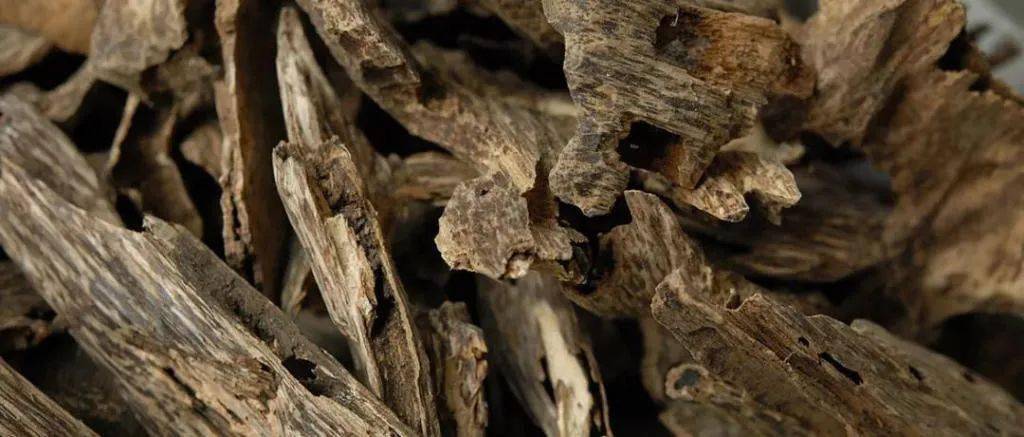 檀香是直接取材于檀香树的木质芯材,能够天然生长而成;沉香则由沉香树