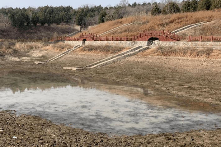 昔日"臭水沟"破茧化蝶 成为居民的亲水乐园_龙泉河_生态_大灰厂村