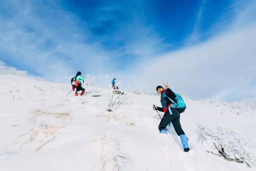 當白雪覆蓋大地,老白山變成了冰雪童話世界,藍天如碧水,山巒若荷葉