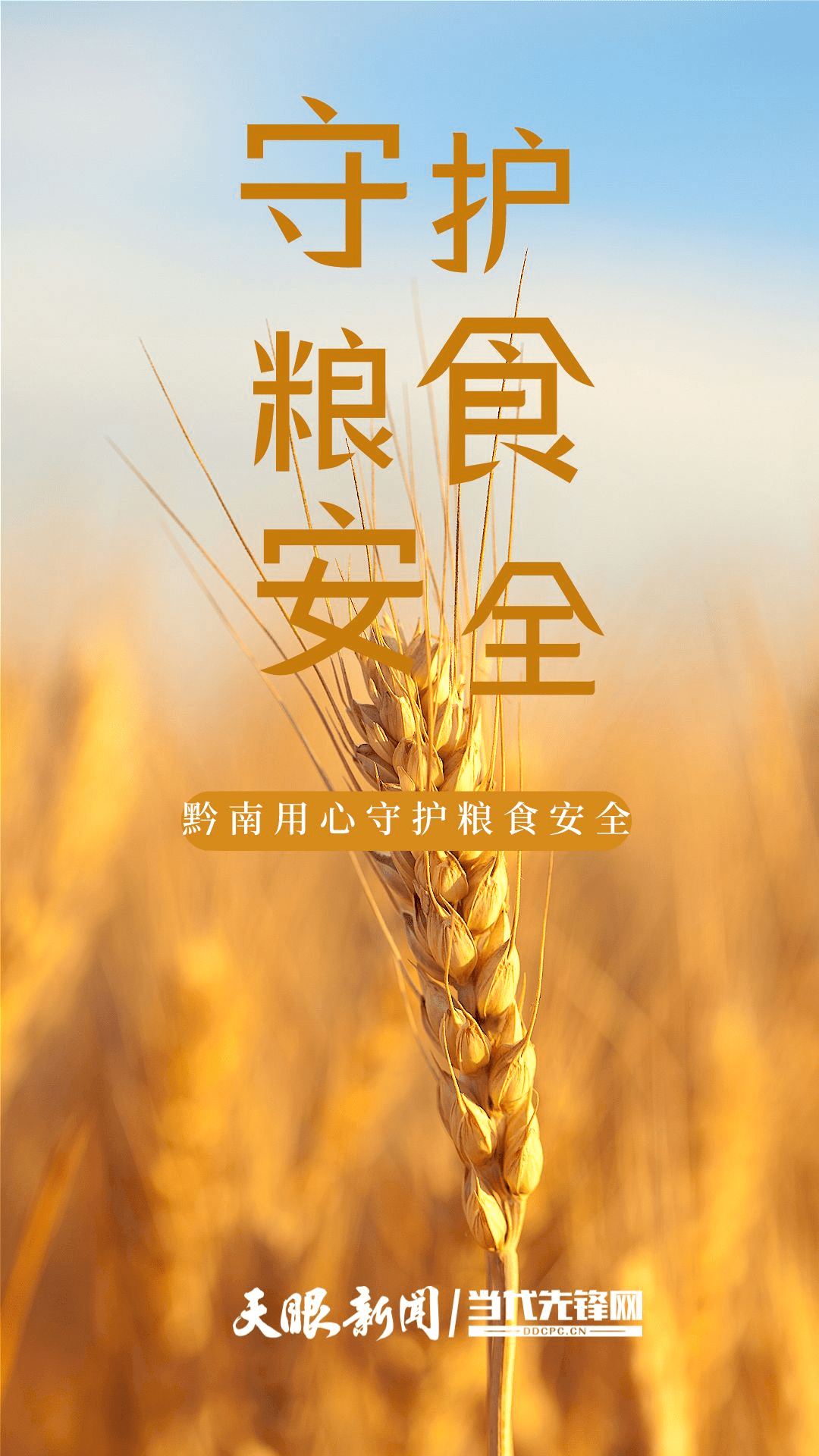 守护粮食安全,黔南这样做!