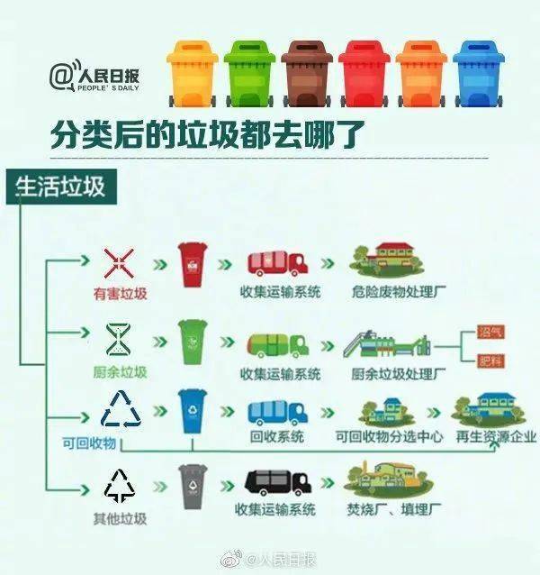 如何垃圾分类?一图读懂!