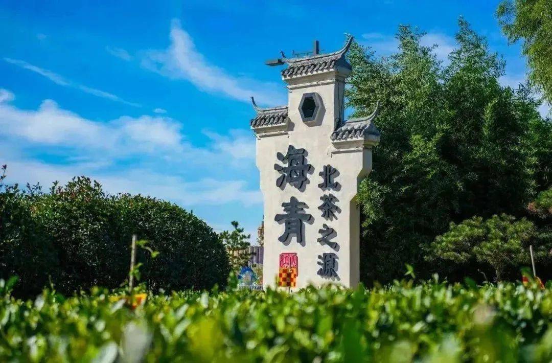 来海青大集,寻古驿站韵味!_西海岸_新区_海青镇