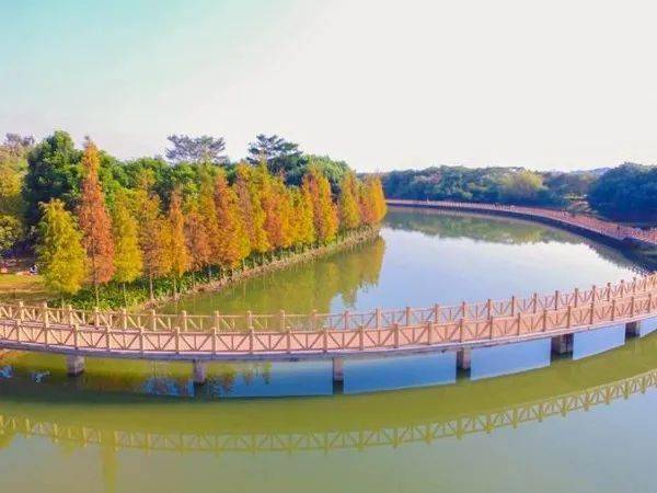 东莞人心目中的"十大生态公园"_湿地_城市_park