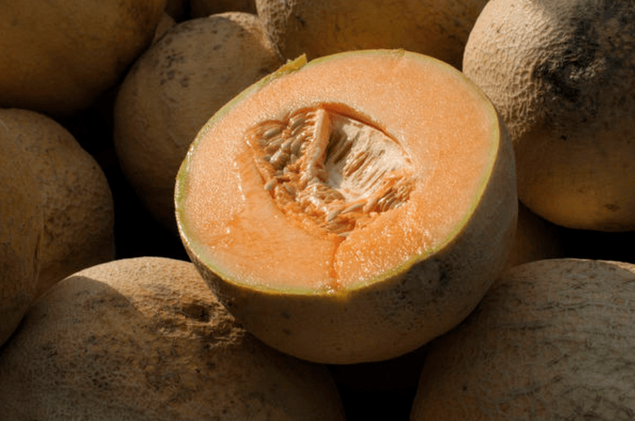 fda扩大召回_美国_发病_产品