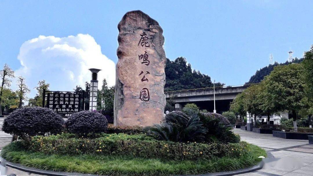 公园内鸟鸣不断银杏叶片片金黄景色宜人初冬时节的鹿鸣公园鹿鸣东方