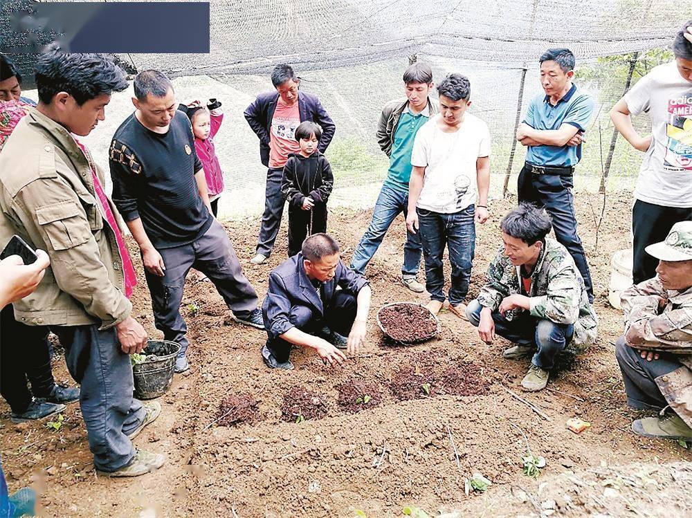 近年來,我州立足生態,山地資源優勢,以