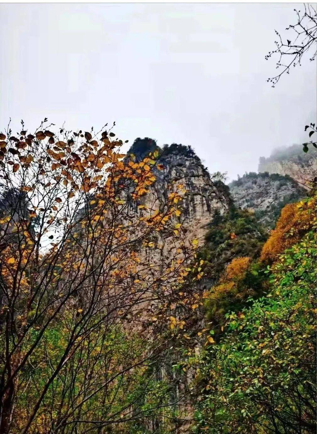 公主请登山 | 遮阳山贵清山冬季限定玩法上新,一路向上追暖阳!