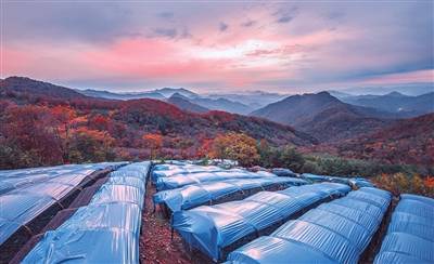 東北山城何以