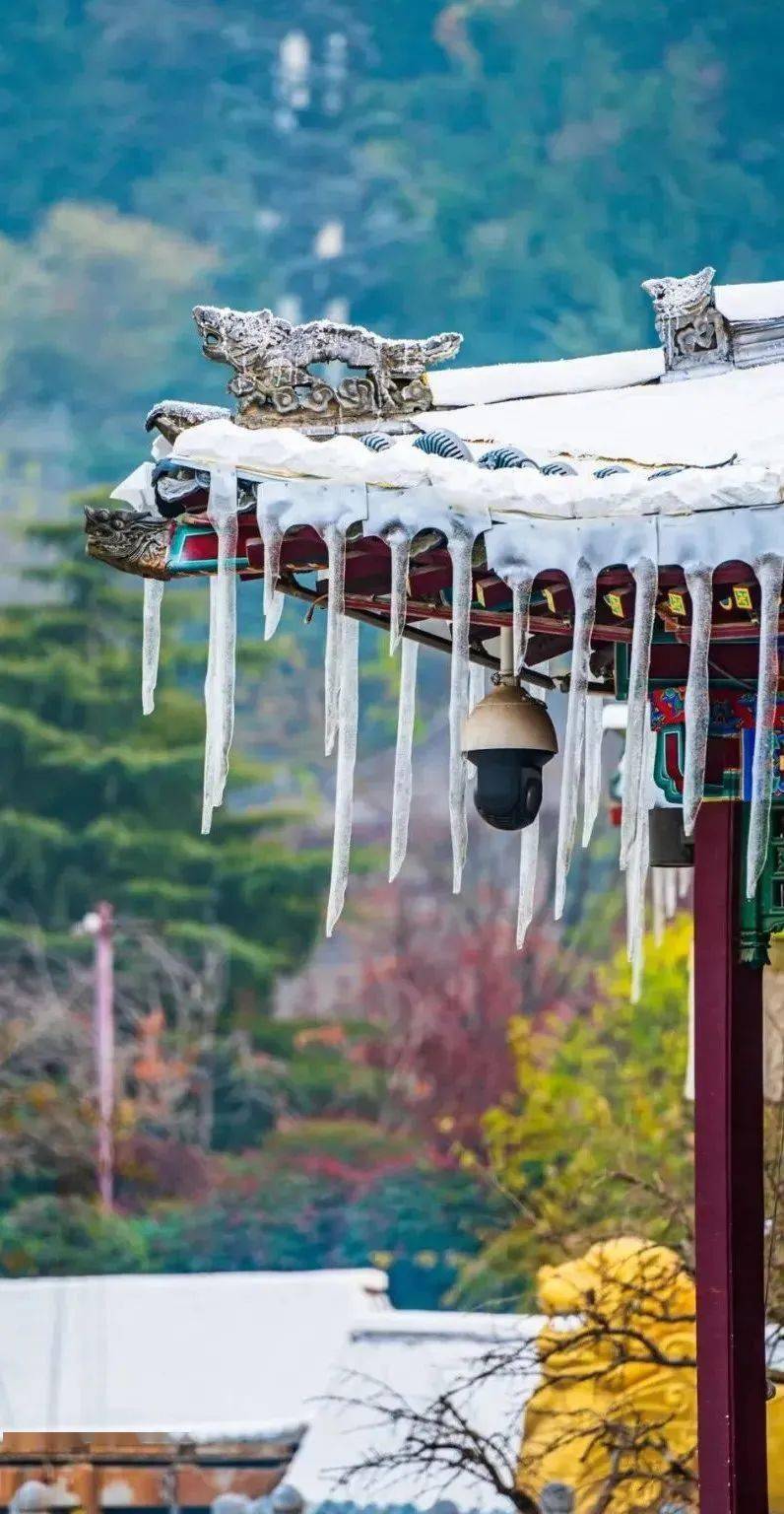 长恨歌》即将踏雪归来霜雪铺陈,寒冰倒挂去华清宫看李杨二人冰火相逢