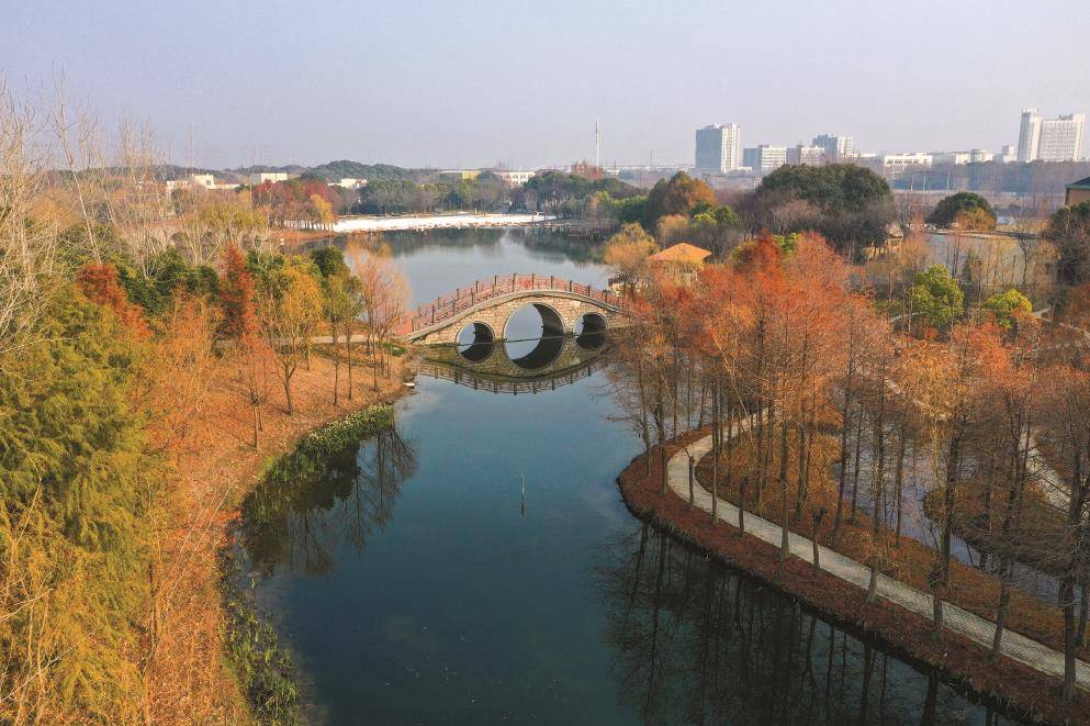 万春利 | 让生机搏动的小微湿地赋能美好生活_景观_建设_保护