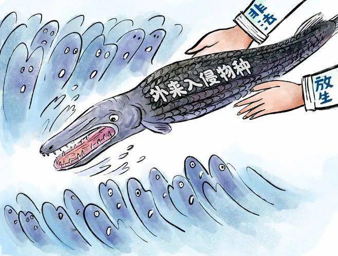 摸清家底 守护农业生态安全——我国外来入侵物种普查工作观察_控制