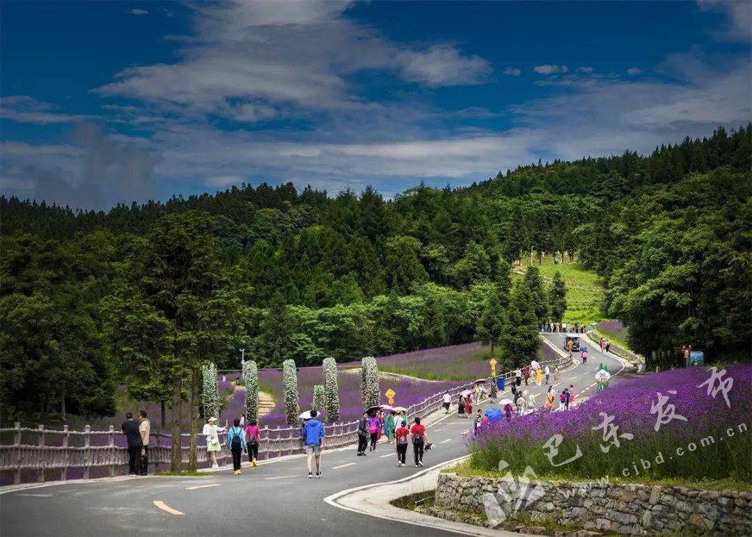 峡江四季皆美景——巴东县文旅事业发展亮点纷呈_旅游_游客_三关