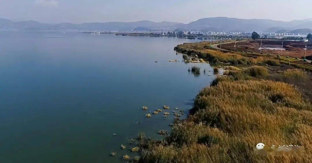 通海县丨一起了解!杞麓湖生态调控_捕捞_湖泊_控制