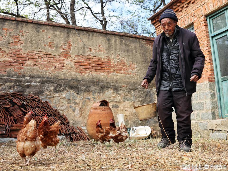 拾光|济南柳埠102岁老人,生活自理爱养鸡