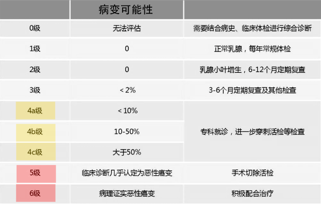 新晋热搜女王