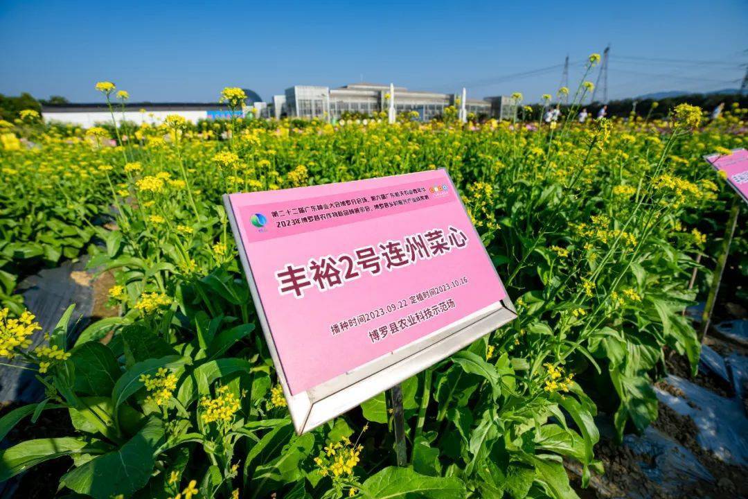 好玩又好看的航天农业嘉年华,周五见!_博罗_新品种_种植