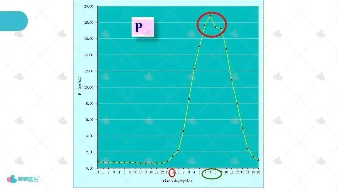 個再次的升高,所以在正常的月經週期中雌激素水平呈現為雙峰狀的曲線