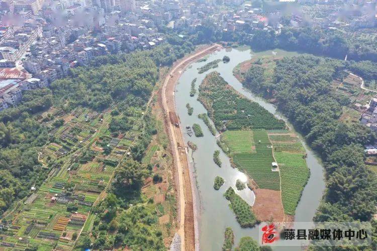 日前,記者在藤縣平福河太平鎮區河段防洪治理工程的施工現場看到,有的