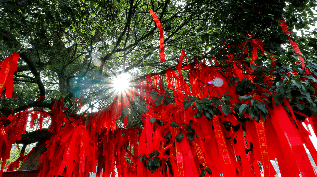 我为祖国点亮医疗树