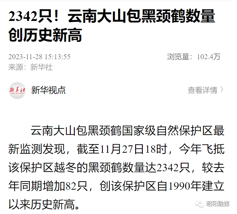 2342只!雲南大山包黑頸鶴數量創歷史新高_自然保護區_昭陽區_候鳥