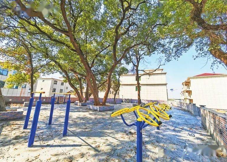 筑梦在希望的田野上 ——南昌市新建区象山镇推进乡村振兴工作纪实