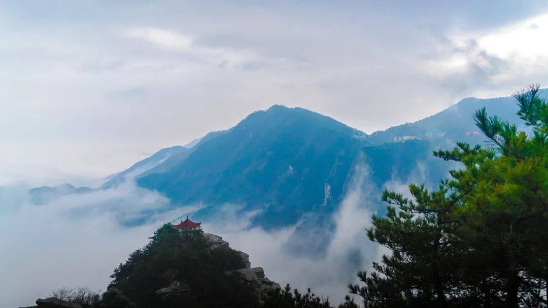 10則最搞笑的對聯,趣味十足,笑到肚子疼_李白_楊國忠_東坡