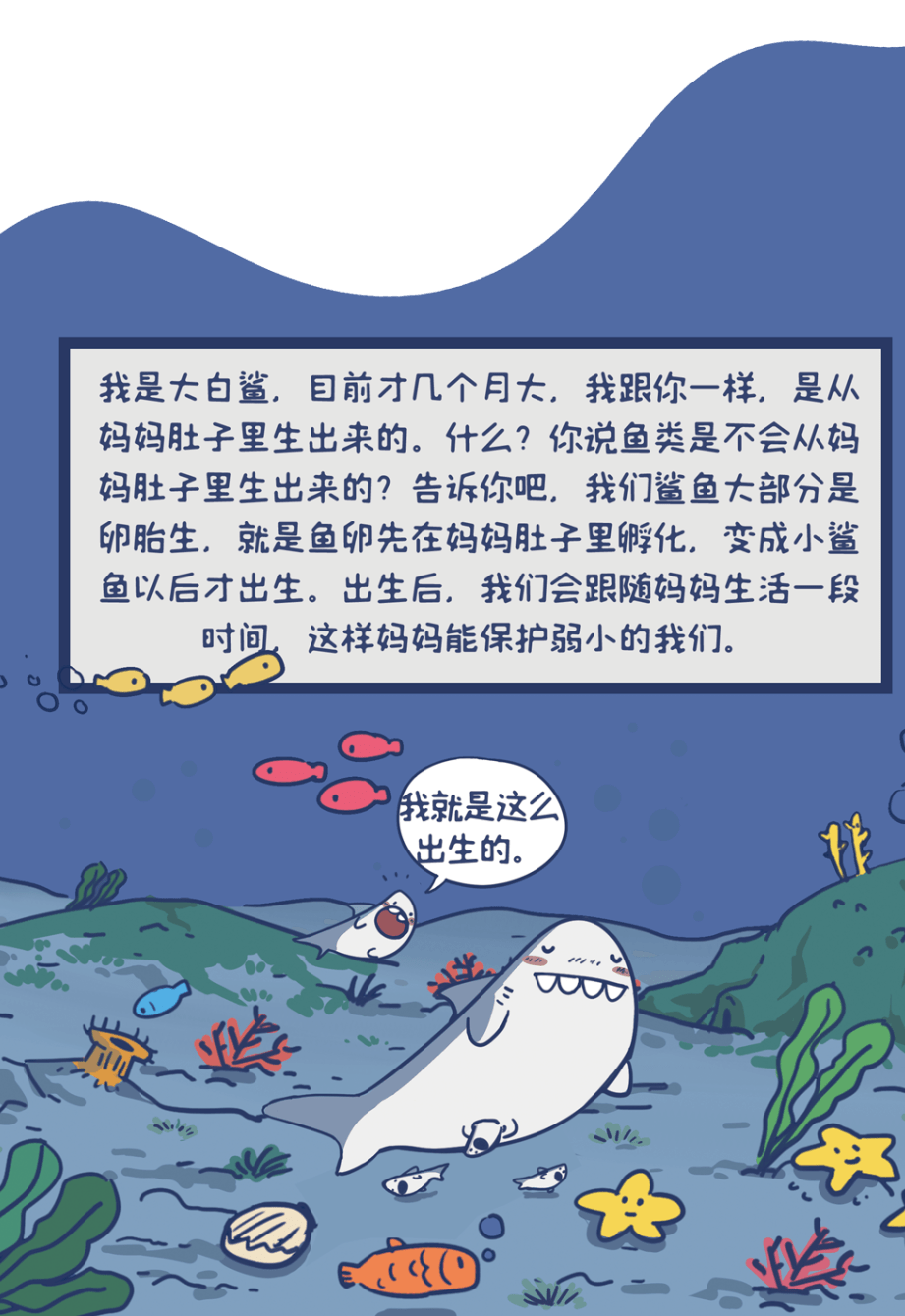 海洋多格漫画图片