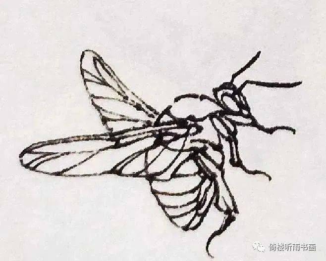 工笔画中的草虫白描,收藏起来!_蝈蝈_蜜蜂_螳螂
