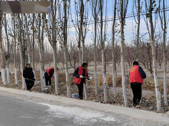 若羌：村妇联开展“树木刷白”志愿服务活动