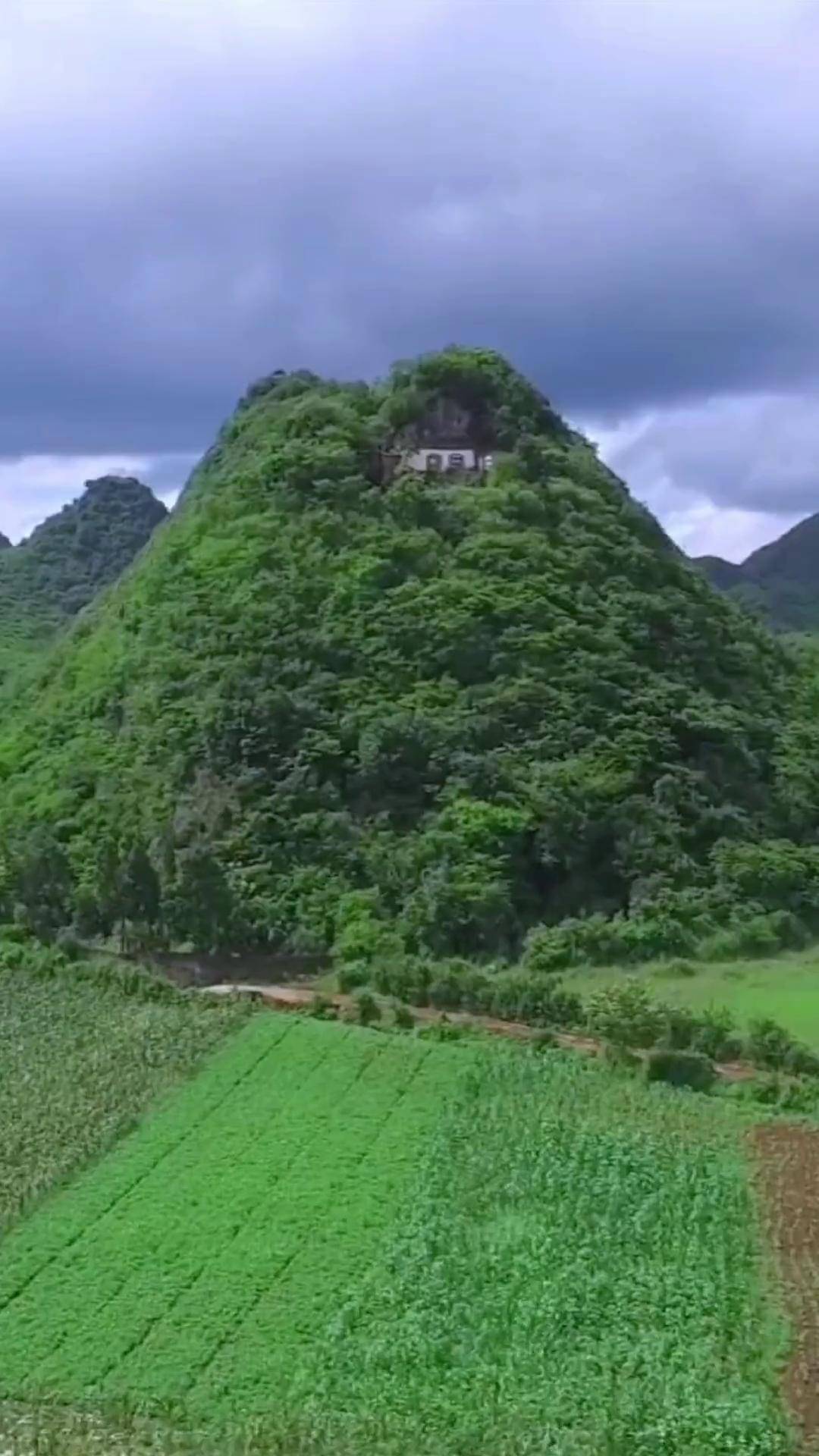在云南十万大山深处发现一户隐居人家,独占一座山峰,是名副其实的一峰