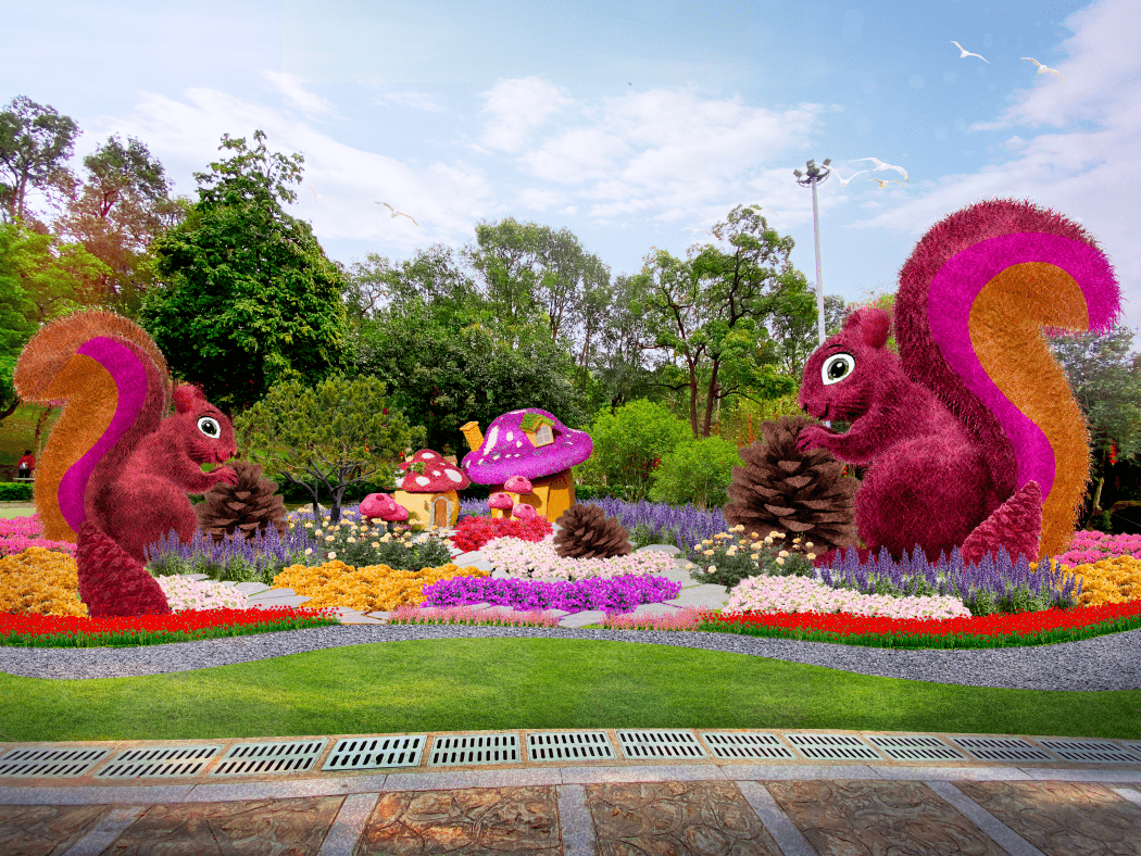 错过等一年!_公园_白云山_花展