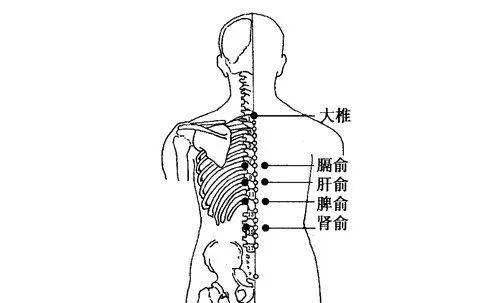 艾灸,提升下垂臉!簡簡單單就變美!_脾胃_氣血_女性