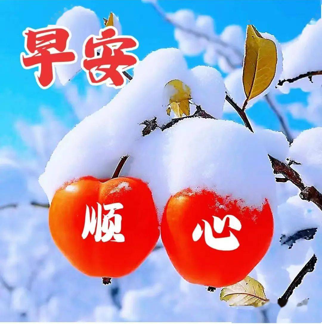 冬天的祝福图片带字图片